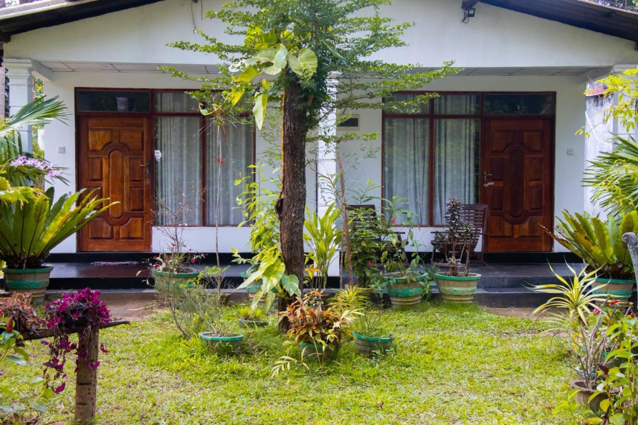 Freedom Home Stay Sigiriya Eksteriør bilde